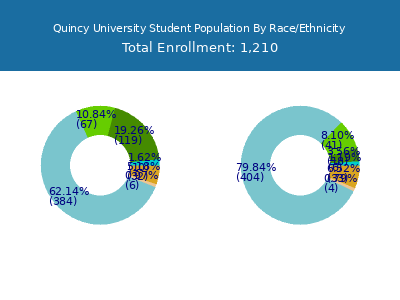 Quincy University 2025 Student Population by Gender and Race chart