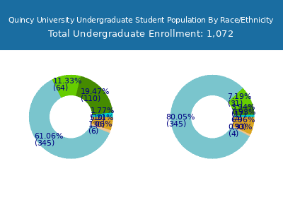Quincy University 2025 Undergraduate Enrollment by Gender and Race chart