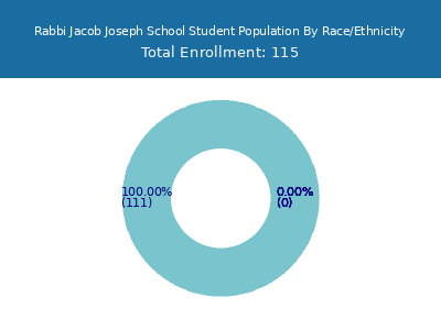 Rabbi Jacob Joseph School 2025 Student Population by Gender and Race chart
