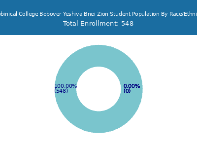 Rabbinical College Bobover Yeshiva Bnei Zion 2025 Student Population by Gender and Race chart