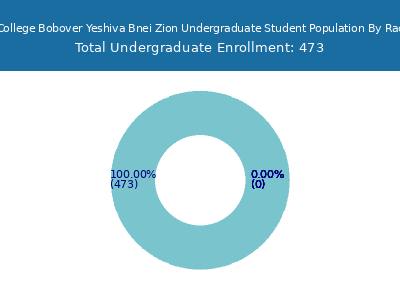 Rabbinical College Bobover Yeshiva Bnei Zion 2025 Undergraduate Enrollment by Gender and Race chart