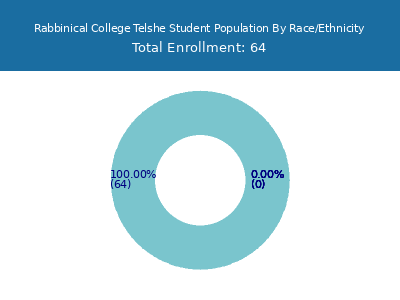 Rabbinical College Telshe 2025 Student Population by Gender and Race chart