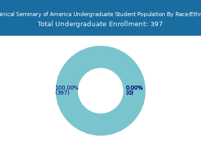 Rabbinical Seminary of America 2025 Undergraduate Enrollment by Gender and Race chart
