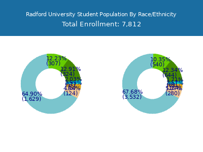 Radford University 2025 Student Population by Gender and Race chart