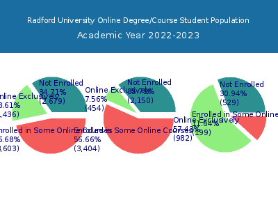 Radford University 2023 Online Student Population chart
