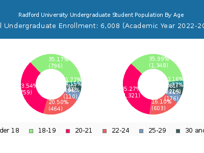 Radford University 2023 Undergraduate Enrollment Age Diversity Pie chart