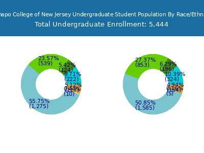 Ramapo College of New Jersey 2025 Undergraduate Enrollment by Gender and Race chart