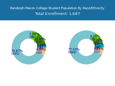 Randolph-Macon College 2025 Student Population by Gender and Race chart