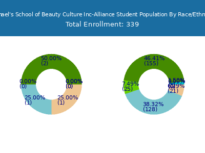 Raphael's School of Beauty Culture Inc-Alliance 2025 Student Population by Gender and Race chart
