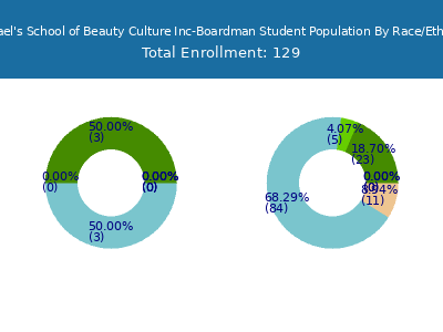 Raphael's School of Beauty Culture Inc-Boardman 2025 Student Population by Gender and Race chart