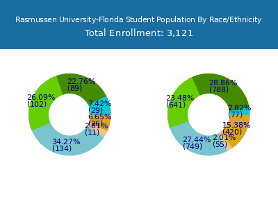 Rasmussen University-Florida 2025 Student Population by Gender and Race chart