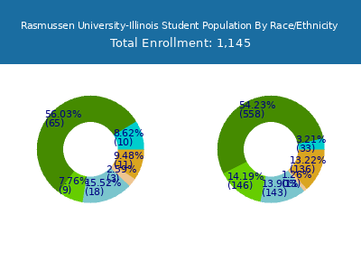 Rasmussen University-Illinois 2025 Student Population by Gender and Race chart