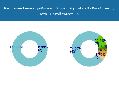 Rasmussen University-Wisconsin 2025 Student Population by Gender and Race chart