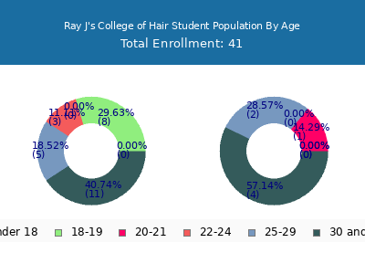 Ray J's College of Hair 2024 Student Population Age Diversity Pie chart