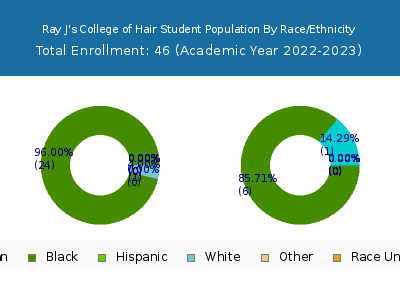Ray J's College of Hair 2023 Student Population by Gender and Race chart