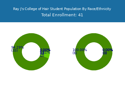 Ray J's College of Hair 2025 Student Population by Gender and Race chart