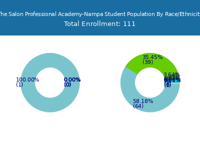The Salon Professional Academy-Nampa 2025 Student Population by Gender and Race chart