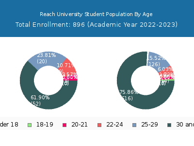 Reach University 2023 Student Population Age Diversity Pie chart