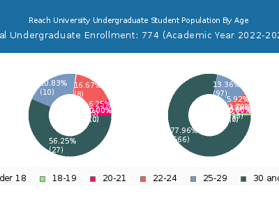 Reach University 2023 Undergraduate Enrollment Age Diversity Pie chart