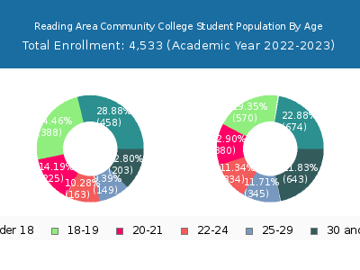 Reading Area Community College 2023 Student Population Age Diversity Pie chart