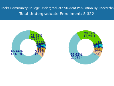 Red Rocks Community College 2025 Undergraduate Enrollment by Gender and Race chart
