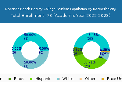Redondo Beach Beauty College 2023 Student Population by Gender and Race chart
