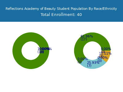 Reflections Academy of Beauty 2025 Student Population by Gender and Race chart