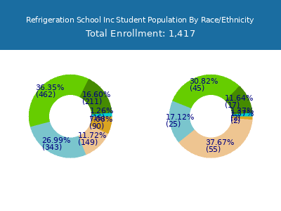 Refrigeration School Inc 2025 Student Population by Gender and Race chart