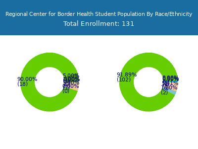 Regional Center for Border Health 2025 Student Population by Gender and Race chart