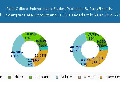 Regis College 2023 Undergraduate Enrollment by Gender and Race chart