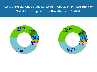 Regis University 2025 Undergraduate Enrollment by Gender and Race chart