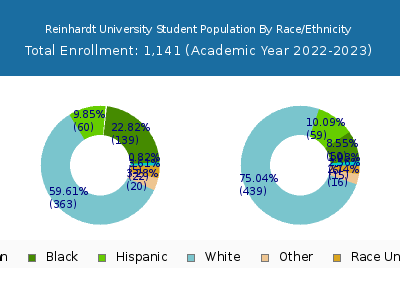 Reinhardt University 2023 Student Population by Gender and Race chart