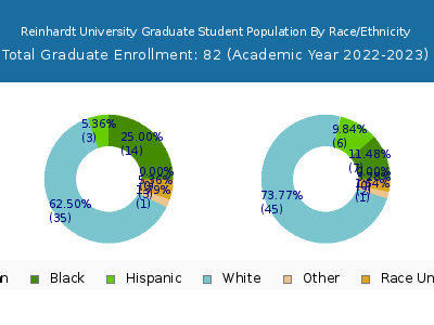 Reinhardt University 2023 Graduate Enrollment by Gender and Race chart