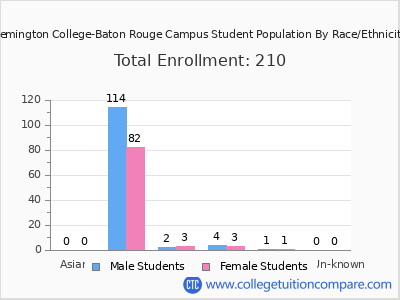Remington College-Baton Rouge Campus 2025 Student Population by Gender and Race chart