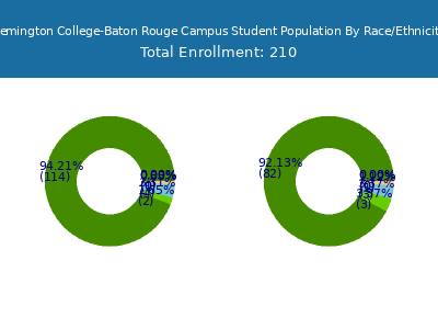 Remington College-Baton Rouge Campus 2025 Student Population by Gender and Race chart