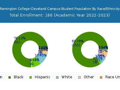 Remington College-Cleveland Campus 2023 Student Population by Gender and Race chart