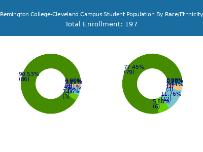 Remington College-Cleveland Campus 2025 Student Population by Gender and Race chart
