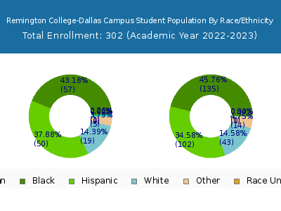 Remington College-Dallas Campus 2023 Student Population by Gender and Race chart