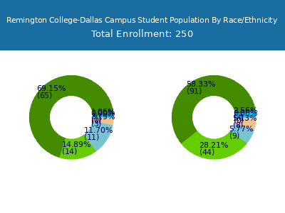 Remington College-Dallas Campus 2025 Student Population by Gender and Race chart