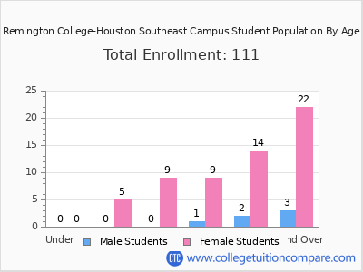 Remington College-Houston Southeast Campus 2024 Student Population by Age chart