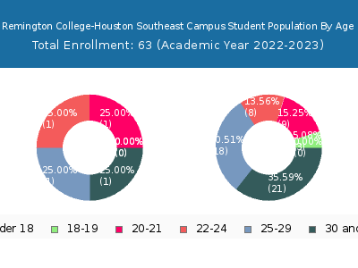 Remington College-Houston Southeast Campus 2023 Student Population Age Diversity Pie chart
