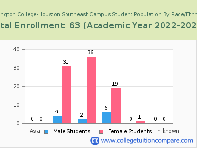 Remington College-Houston Southeast Campus 2023 Student Population by Gender and Race chart