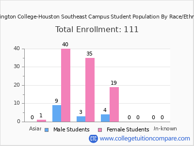 Remington College-Houston Southeast Campus 2025 Student Population by Gender and Race chart