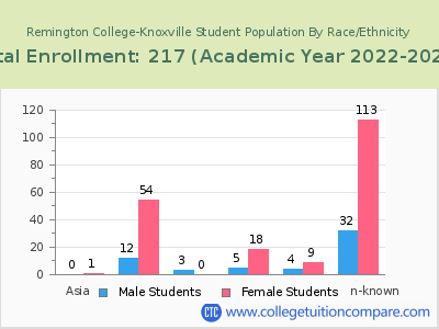 Remington College-Knoxville 2023 Student Population by Gender and Race chart