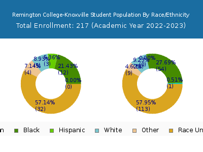 Remington College-Knoxville 2023 Student Population by Gender and Race chart