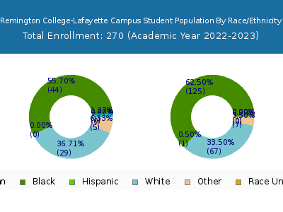 Remington College-Lafayette Campus 2023 Student Population by Gender and Race chart