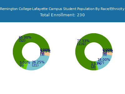 Remington College-Lafayette Campus 2025 Student Population by Gender and Race chart