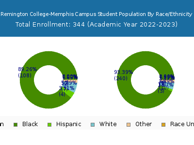 Remington College-Memphis Campus 2023 Student Population by Gender and Race chart