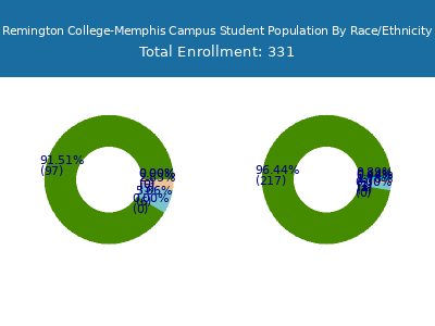 Remington College-Memphis Campus 2025 Student Population by Gender and Race chart