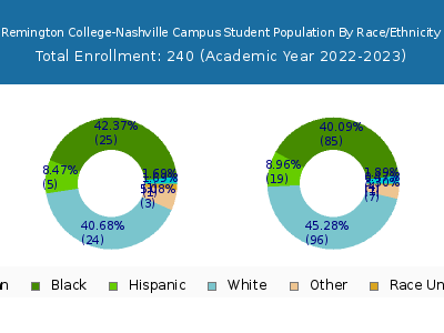 Remington College-Nashville Campus 2023 Student Population by Gender and Race chart